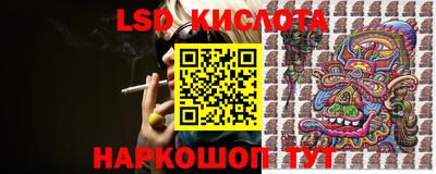 стафф Ставрополь