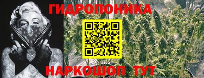 стафф Ставрополь