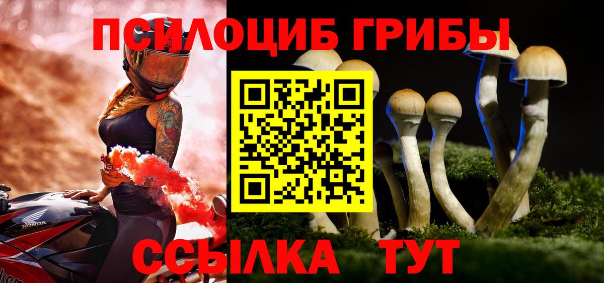 Галлюциногенные грибы Psilocybine cubensis  Вход с VPN  Псилоцибиновые грибы Psilocybine cubensis  Новоалтайск 