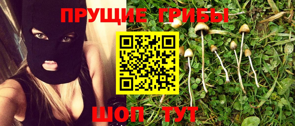 Галлюциногенные грибы ЛСД Новоалтайск